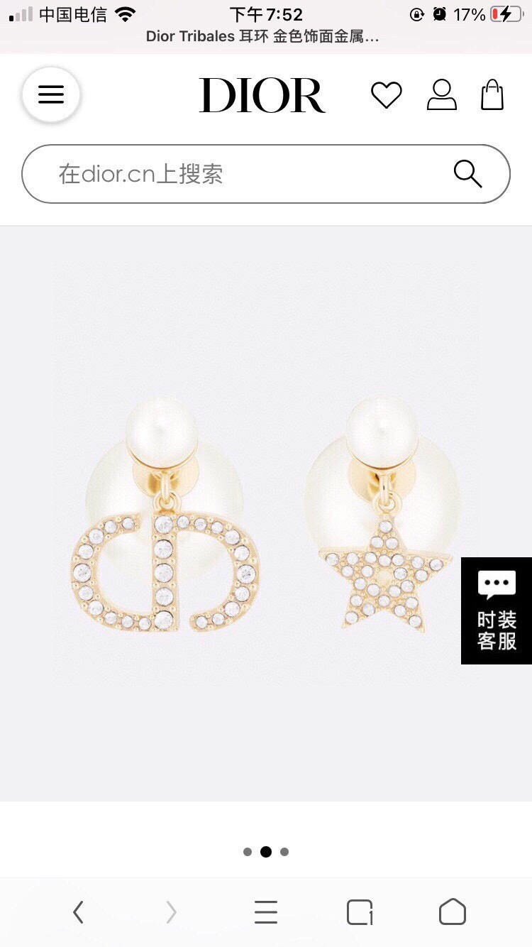 Christian Dior Earrings